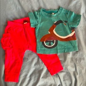 tea collection kids clothing